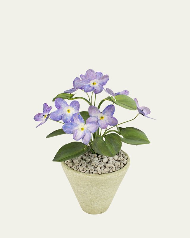 Violet February Birth Flower in White Terracotta Pot